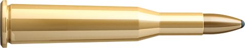 Munition calibre 5.6 x 52 R SP 4.60 grammes