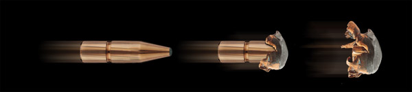Munition calibre 300 Winchester Magnum KS 10.7 grammes